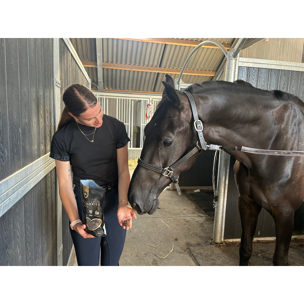 Excellent Horse Handgemachte Pferdekekse Apfel