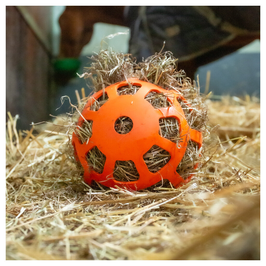 Hay Slow Feeder Fun&Flex (versch. Farben)