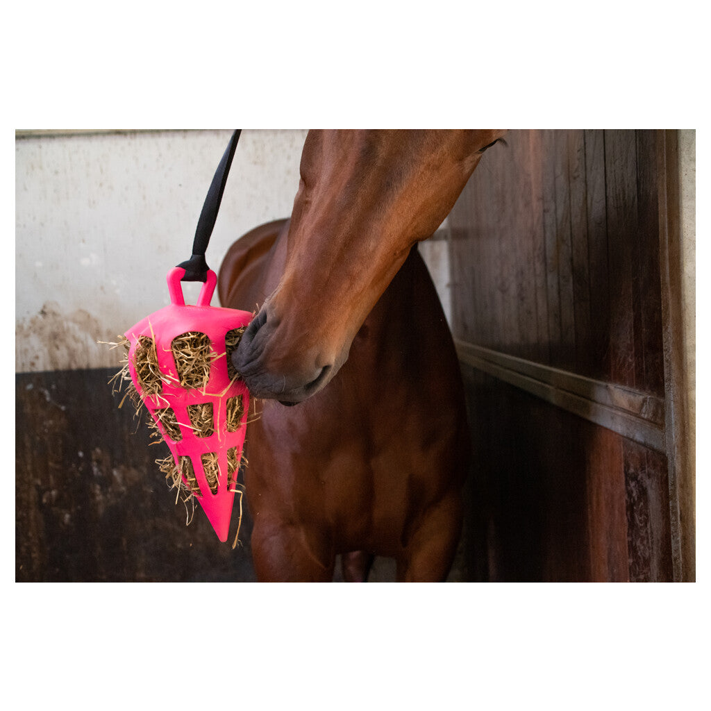 Hay Slow Feeder Fun&Flex Carrot