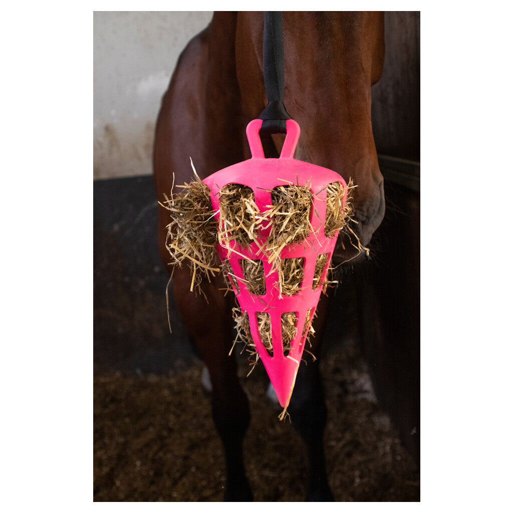 Hay Slow Feeder Fun&Flex Carrot