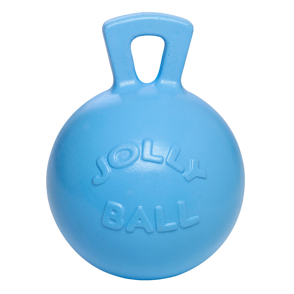 Jolly Ball 25cm (versch. Farben)