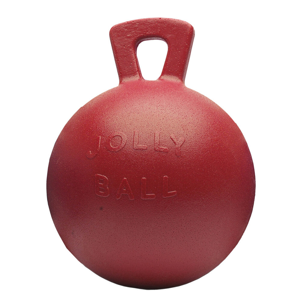 Jolly Ball 25cm (versch. Farben)