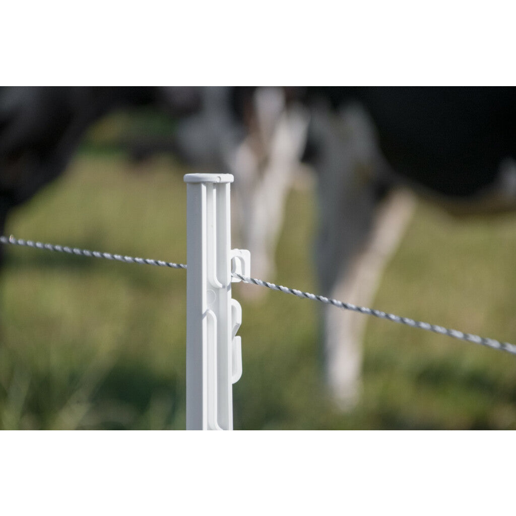 Zaundraht 3mm Plus grün/weiß 400m