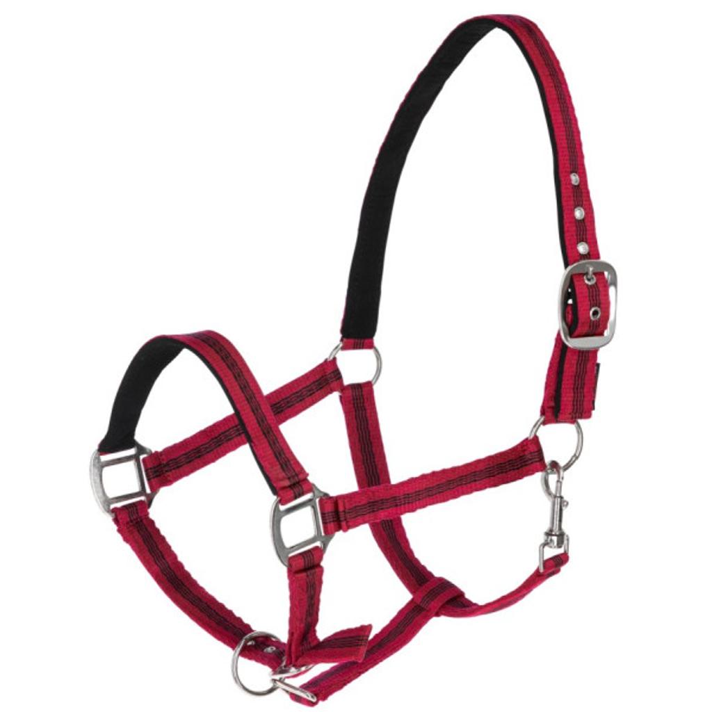 Nylonhalfter Mustang rot-schwarz
