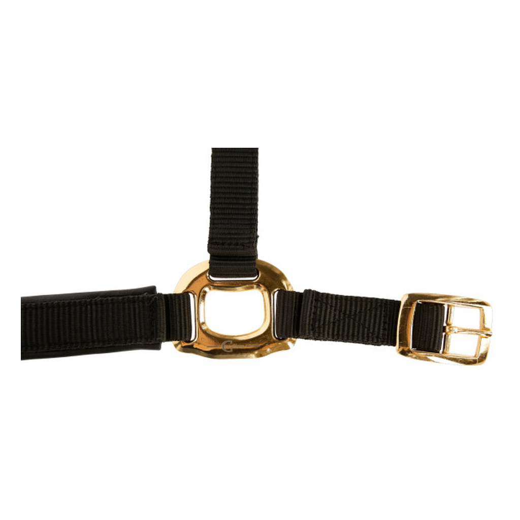 Gepolstertes Halfter mit goldfarbenen Schnallen schwarz-gold