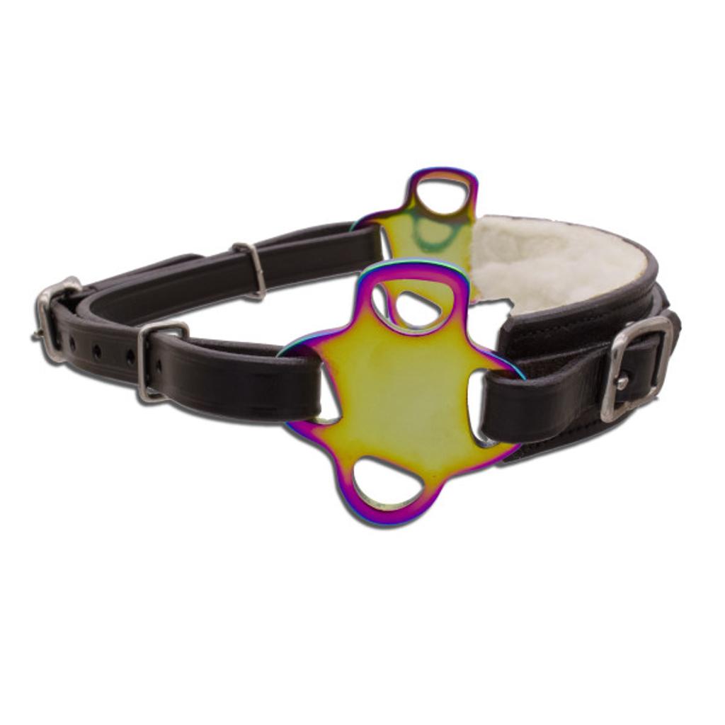 Glücksrad rainbow, Glücksstern bunt