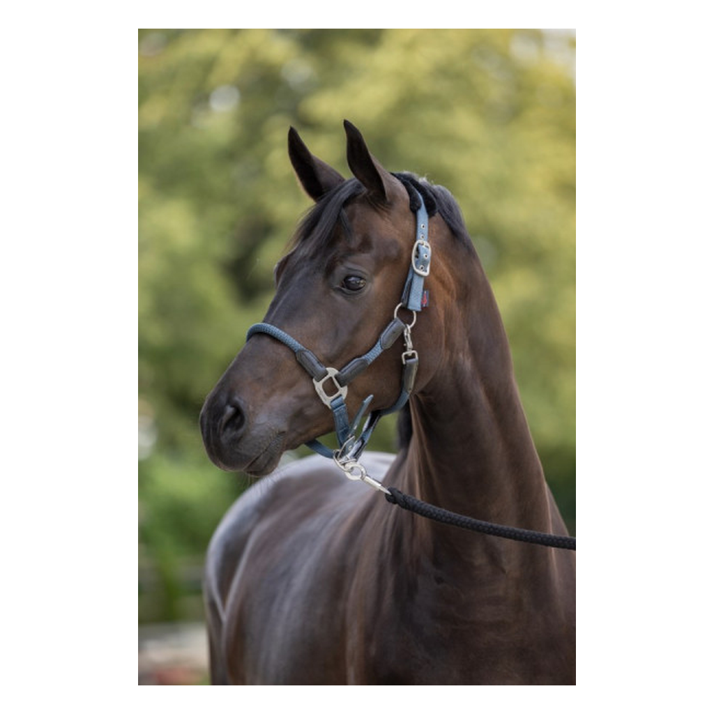 Halfter mit Webpelz-Polsterung Cordano smoked-blue