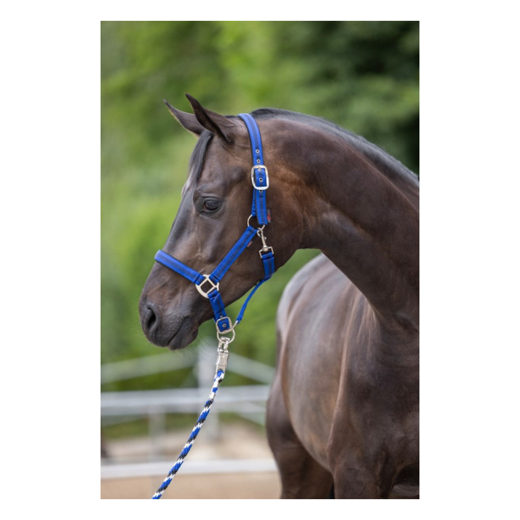 Nylonhalfter Mustang blau-schwarz