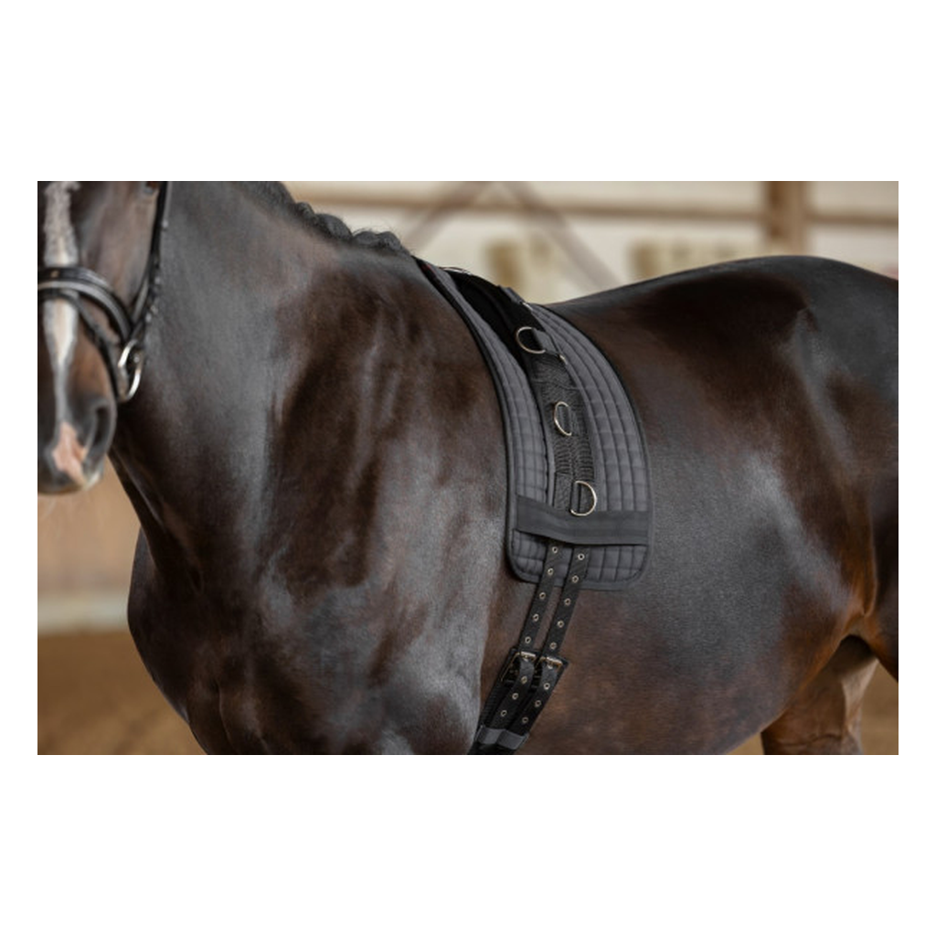 Longiergurt breit und weich, schwarz