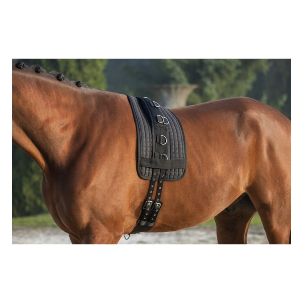 Longiergurt breit und weich, schwarz