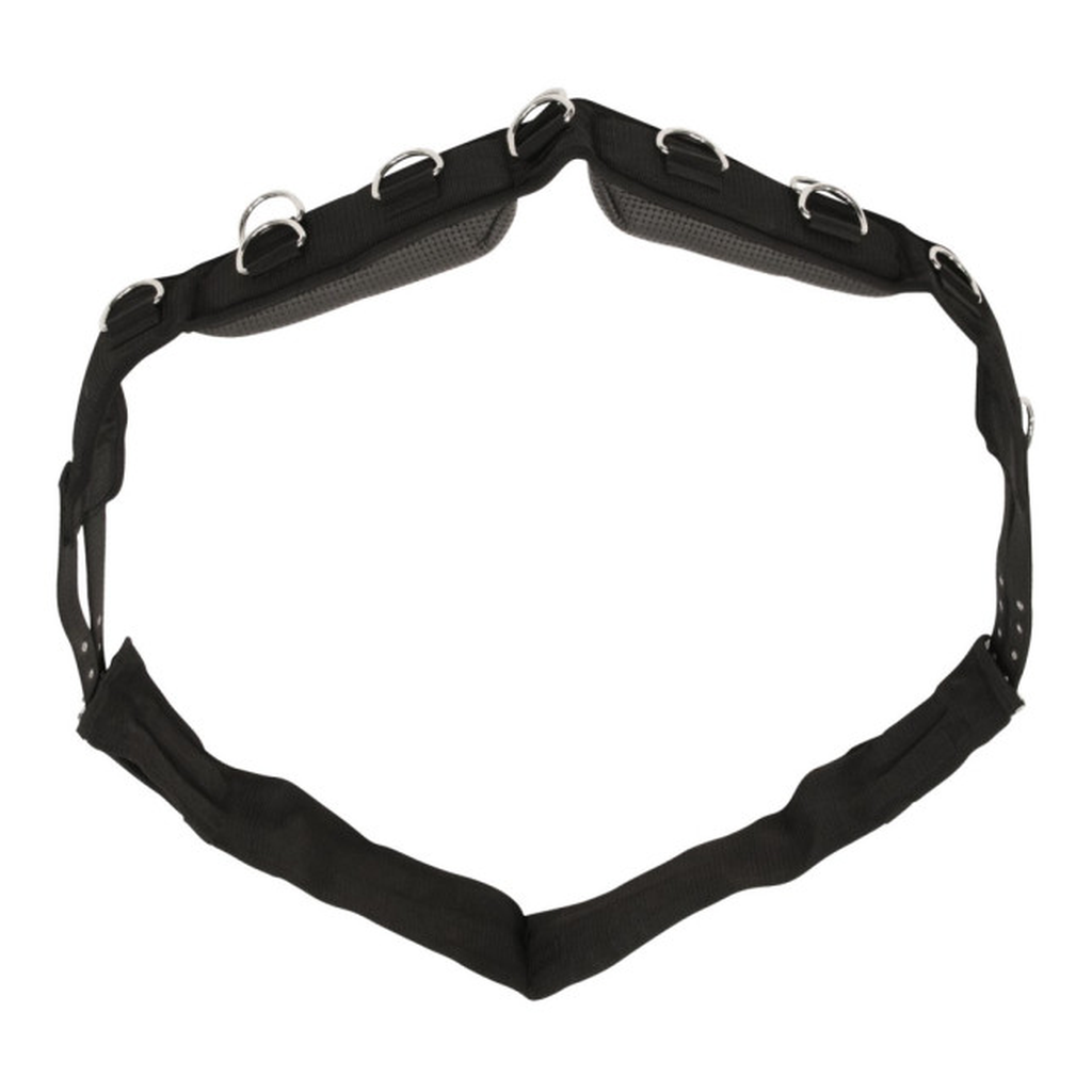 Longiergurt breit und weich, schwarz