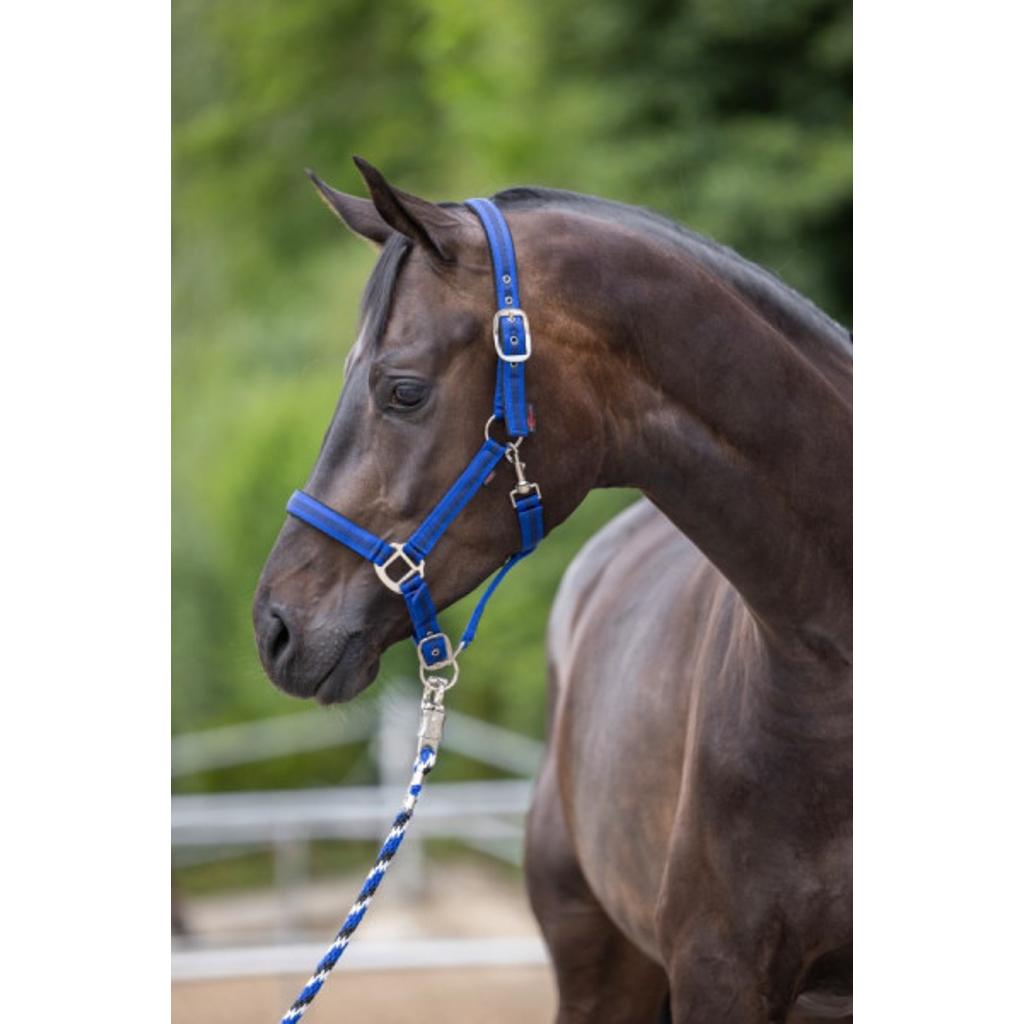 Nylonhalfter Mustang blau-schwarz