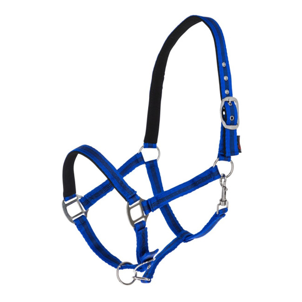 Nylonhalfter Mustang blau-schwarz
