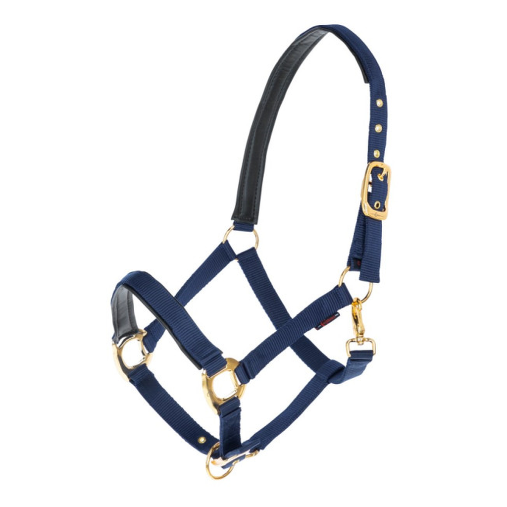 Gepolstertes Halfter mit goldfarbenen Schnallen royalblau-gold