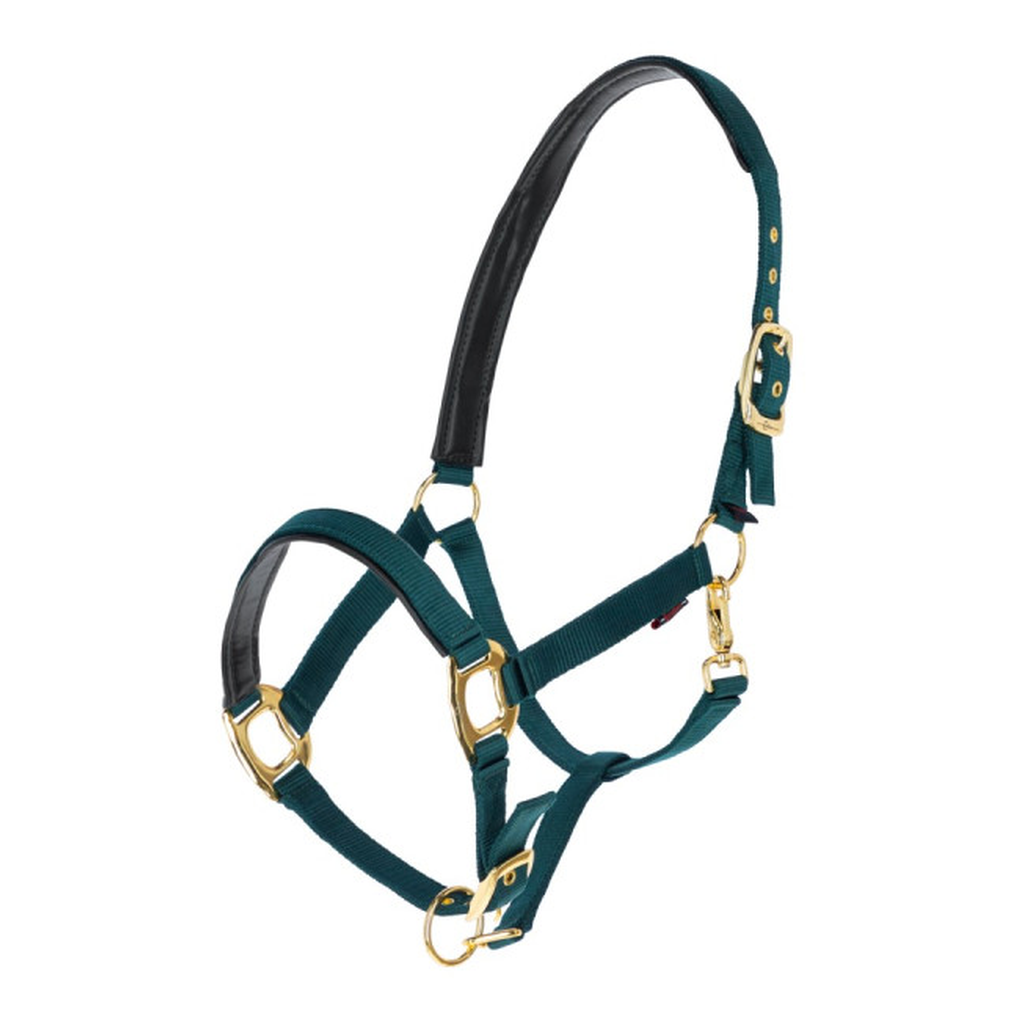 Gepolstertes Halfter mit goldfarbenen Schnallen waldgrün-gold