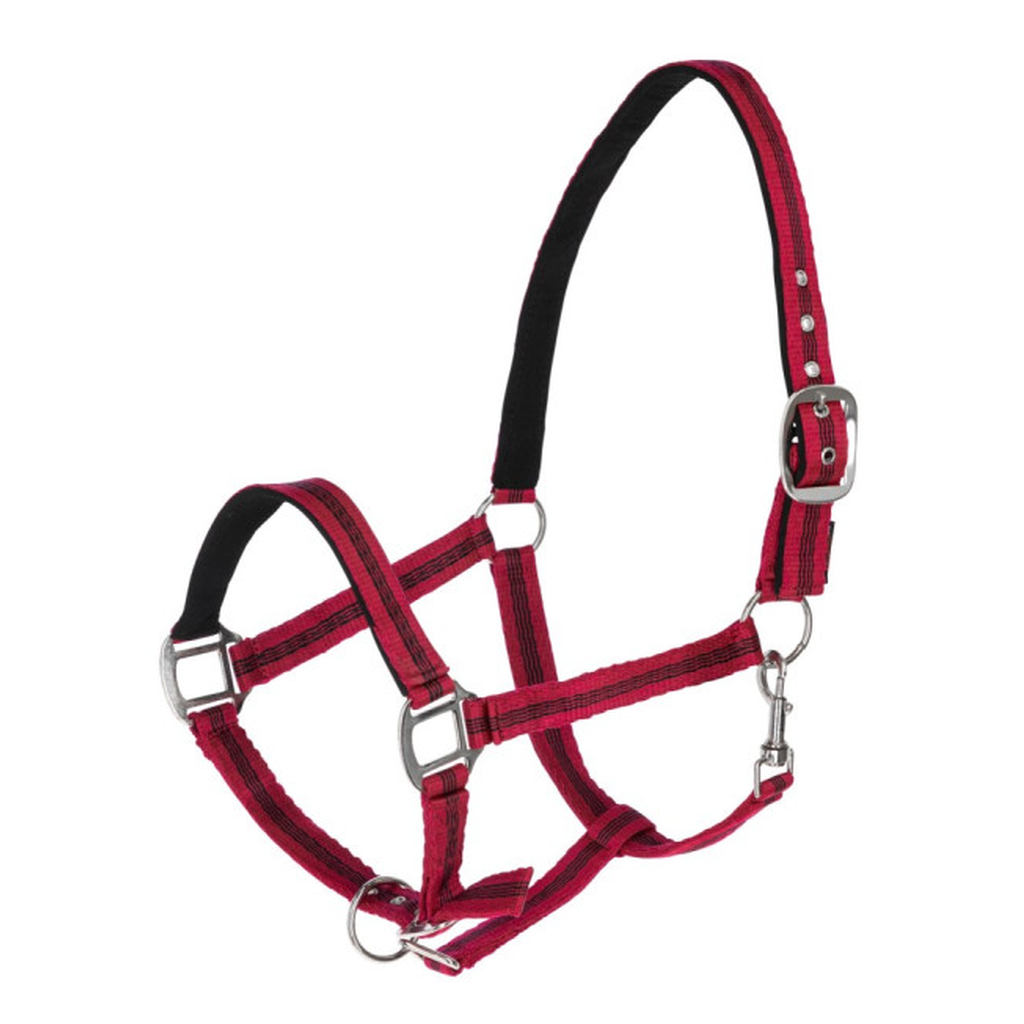 Nylonhalfter Mustang rot-schwarz
