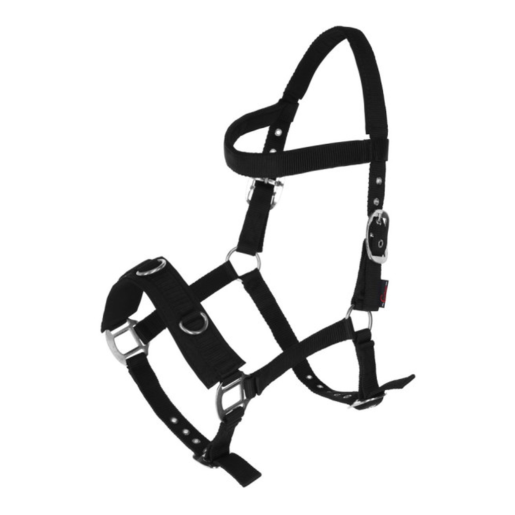 Longierhalfter weich unterlegt schwarz