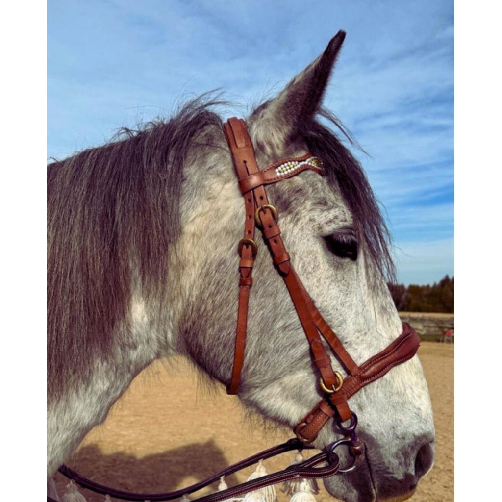 Englisches Reithalfter, sehr weich unterlegte Englischtrense in barockem Stil