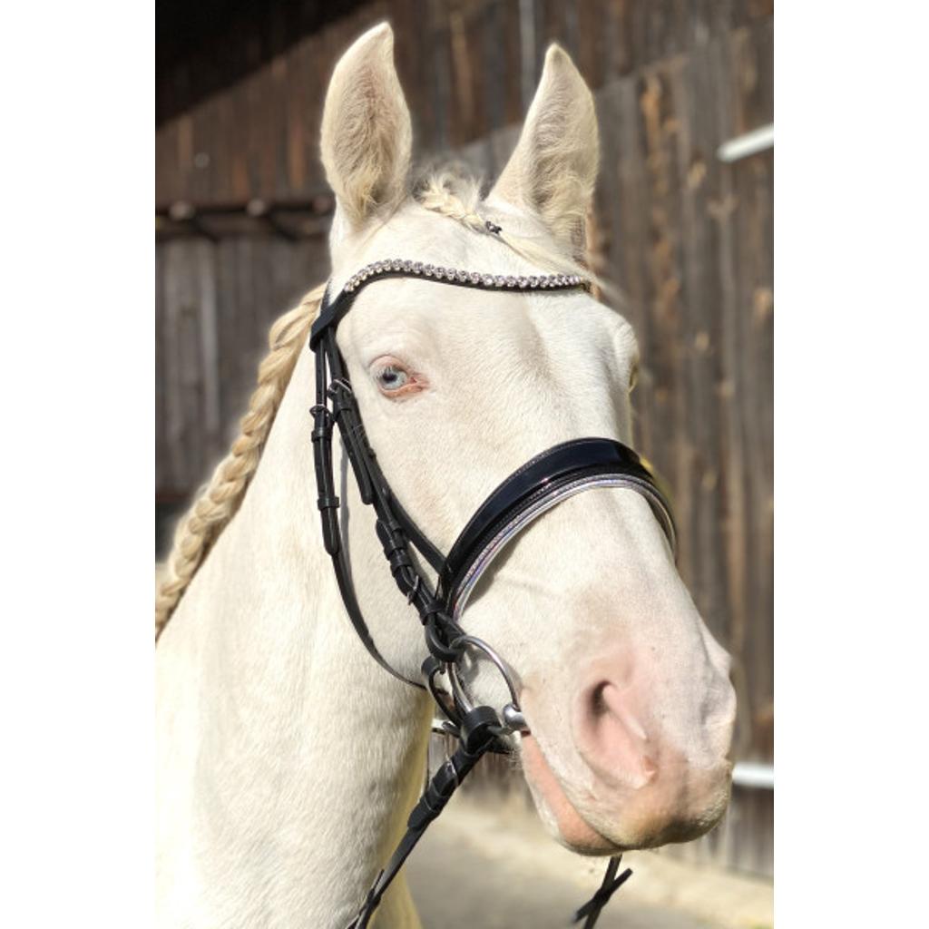 Schwedischer Trensenzaum, schwarz, glitzer, inklusive Zügel mit Grip, Reithalfter ohne Sperriemen