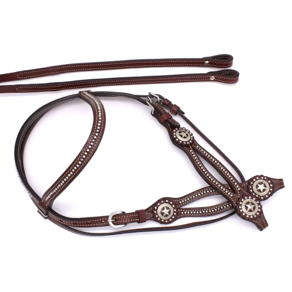 Westerntrense, Zaum mit Sternenconchos und Nieten besetzt